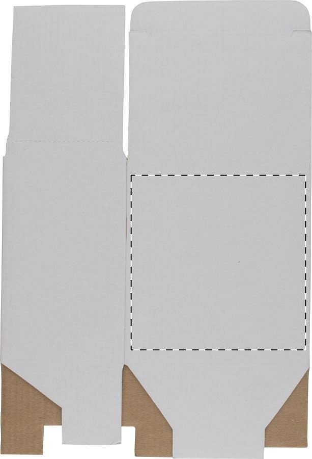 Back side