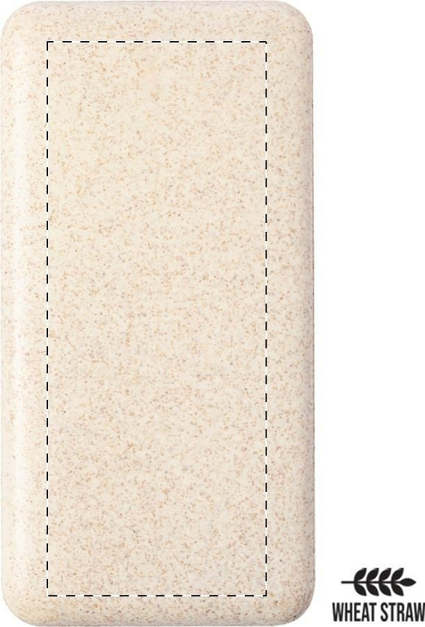 Back side