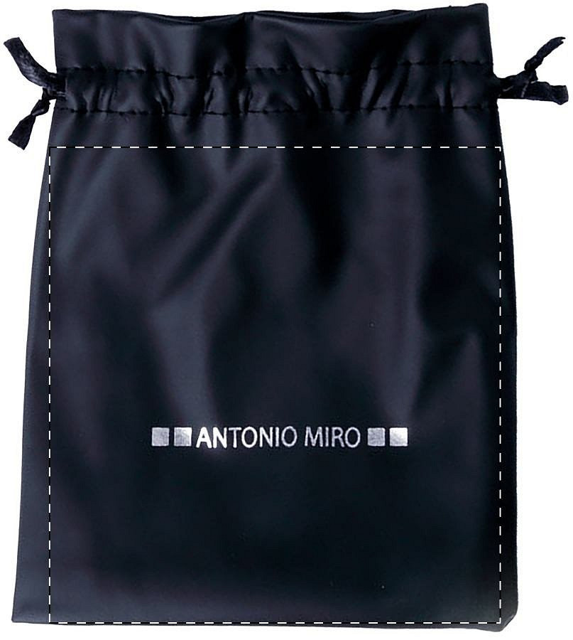 Case / Pouch