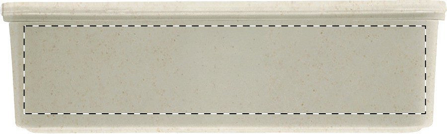 Back side