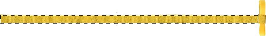 Right ribbon - front side