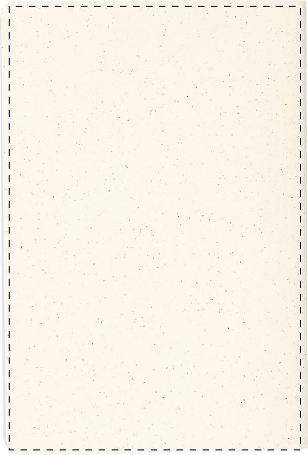 Back side