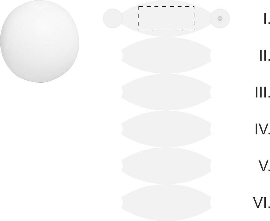 Panel 1