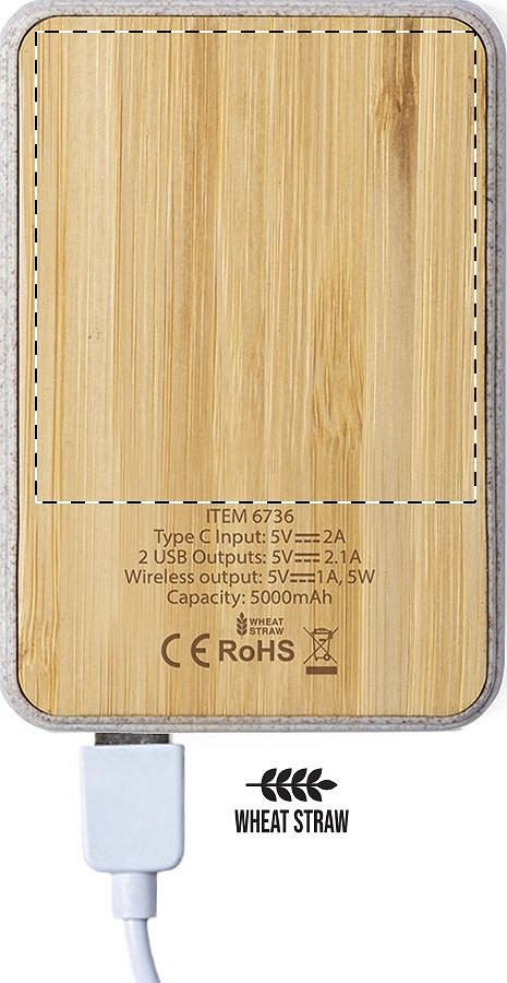 Back side