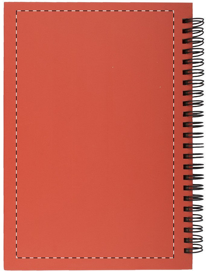Back side