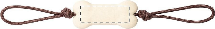 Back side