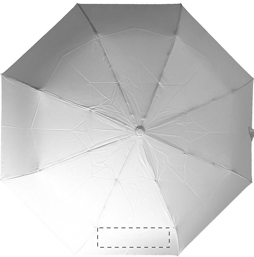Panel 7