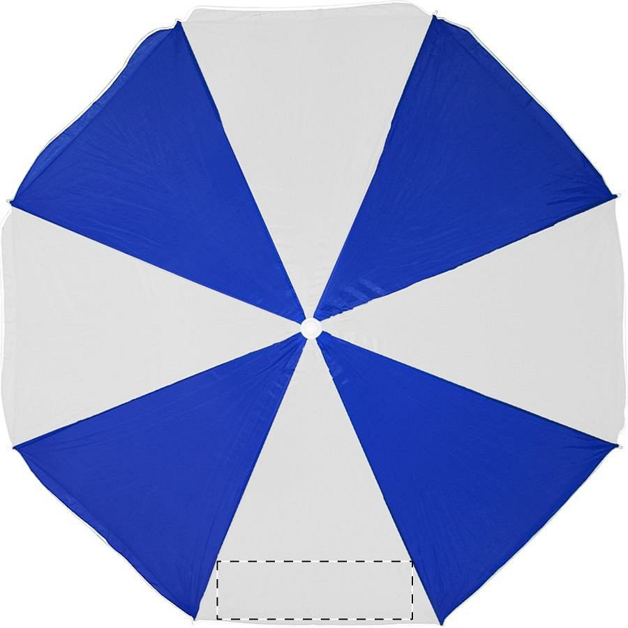 Panel 5
