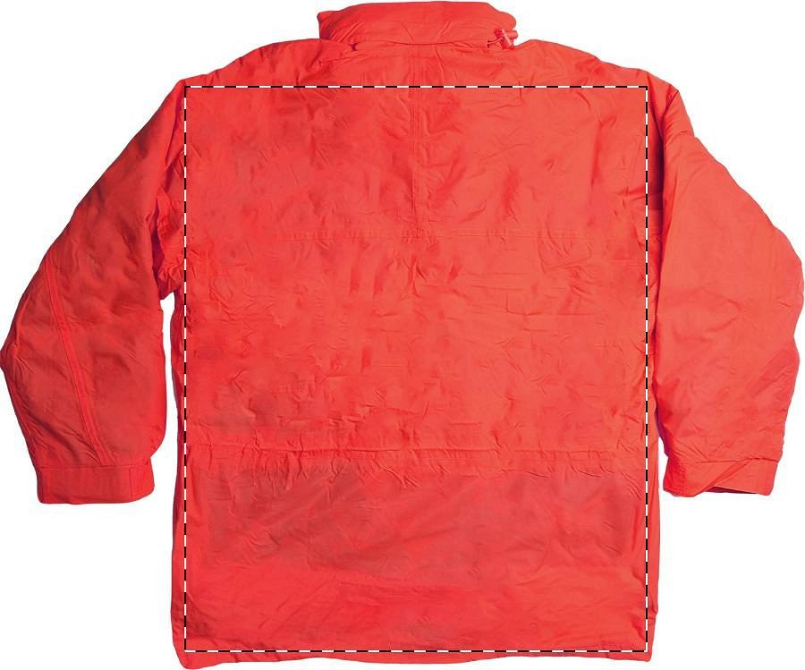 Back side