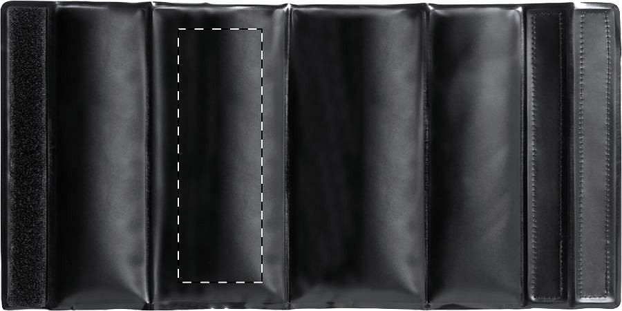 Panel 2