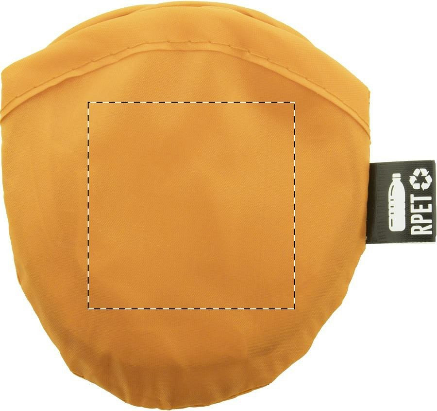 Case / Pouch