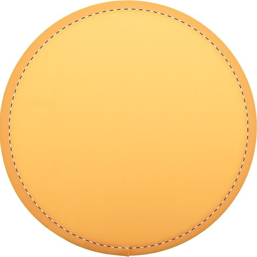 Frisbee