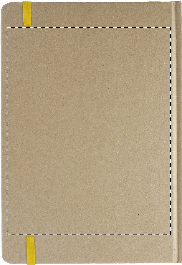 Back side