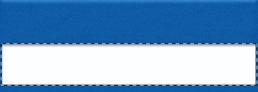 Paper insert