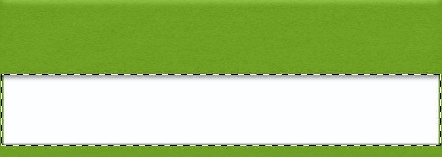 Paper insert