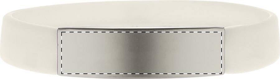 Metal plate