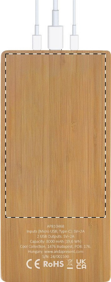 Back side