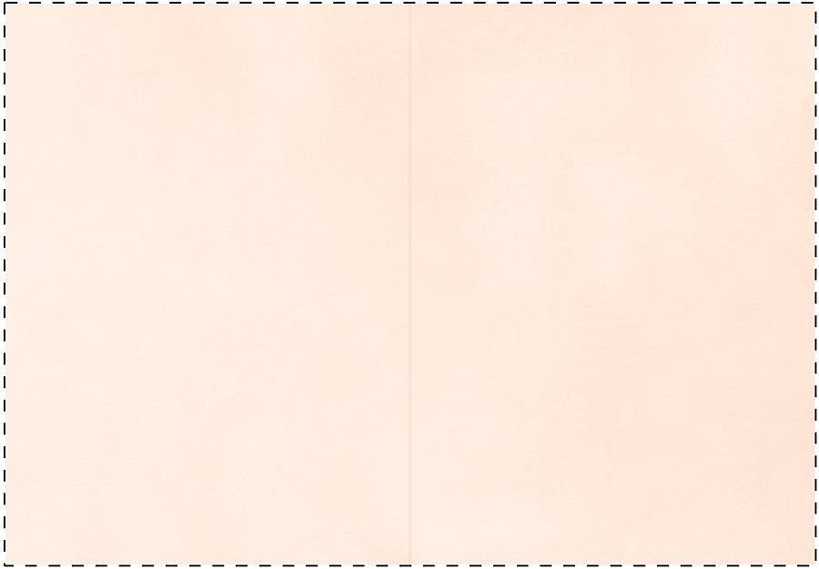 Outer cover