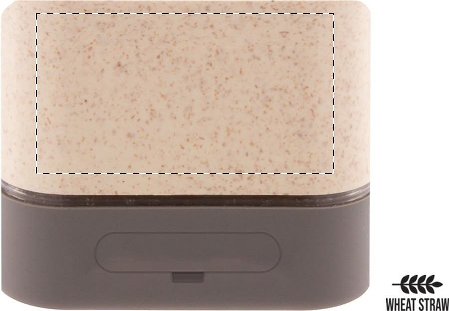 Back side
