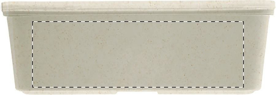 Back side