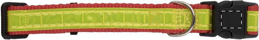 Buckle