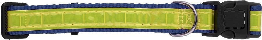 Buckle