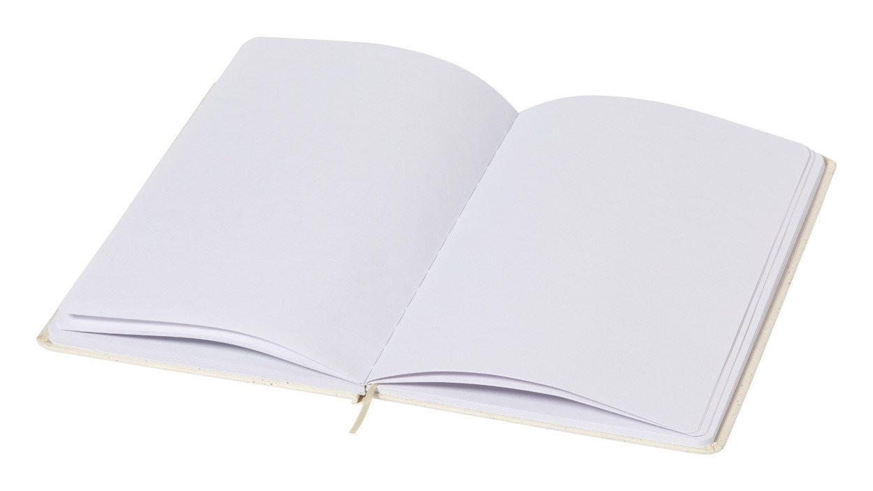 Tempox notebook