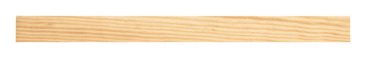 Arnax ruler