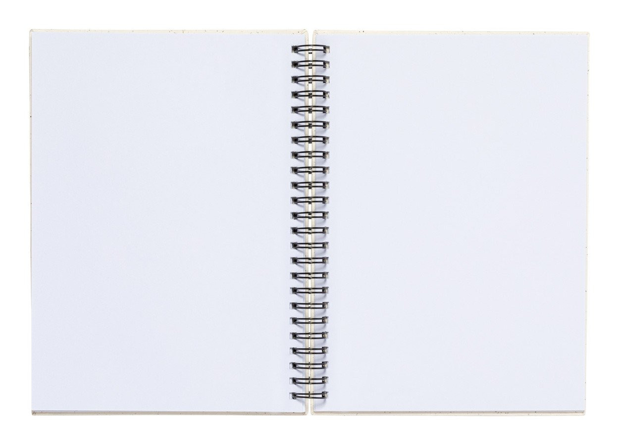 Hantiz notebook