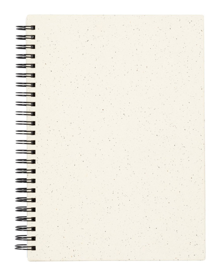 Hantiz notebook