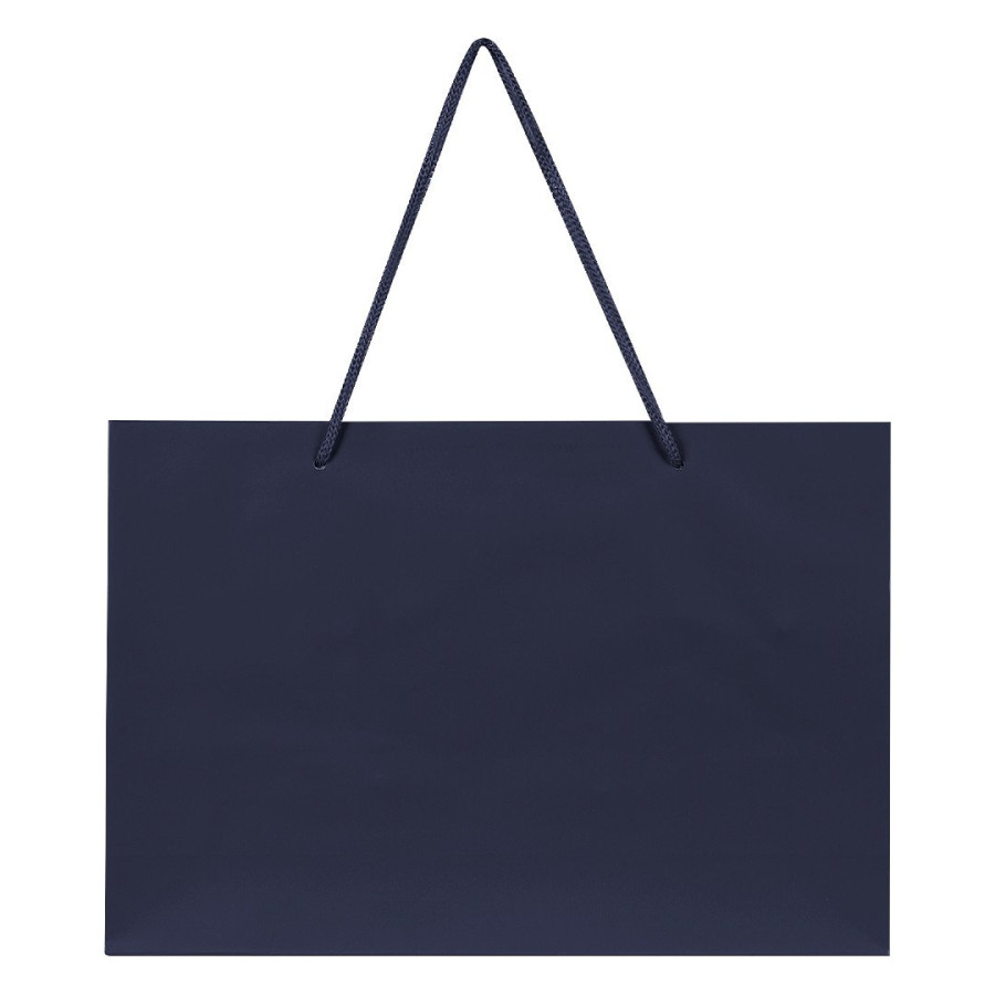 DINA HO, paper bag, laminated, blue
