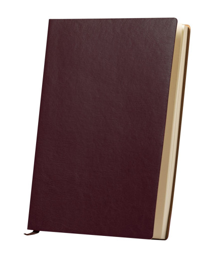 Paldon notebook
