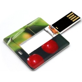 Coro flash memory for printing ESU-U21M