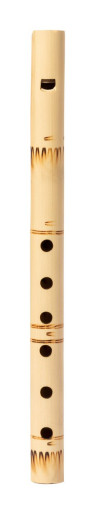 Hamelin recorder