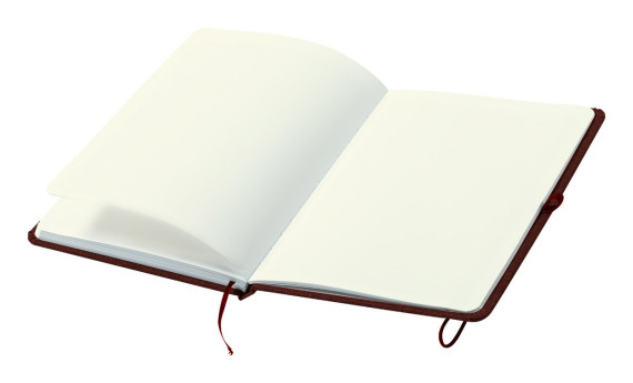 Renolds RPET notebook