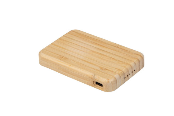 SeeBank transparent power bank