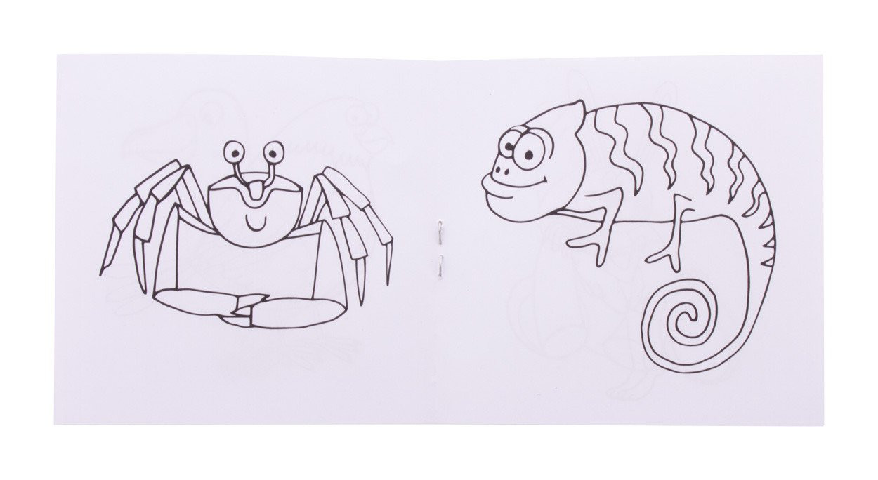 Coloxil 12 custom colouring set, animals