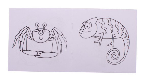 ColoBook custom colouring booklet, animals