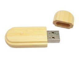 Puerto Vallarta dirve memory print ESU-W05