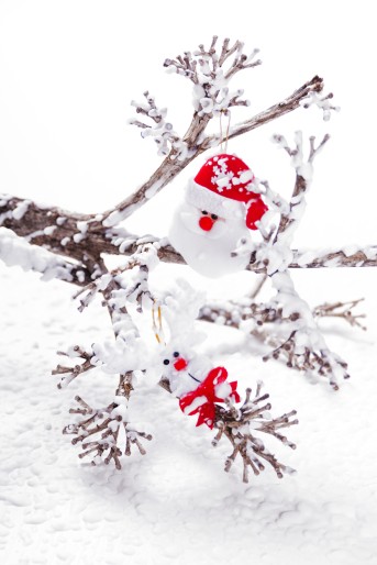 Tainox ukras za jelku set