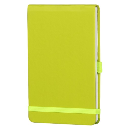 REPORTER, a6 notebook, kiwi