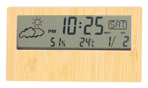 Roamer weather station
