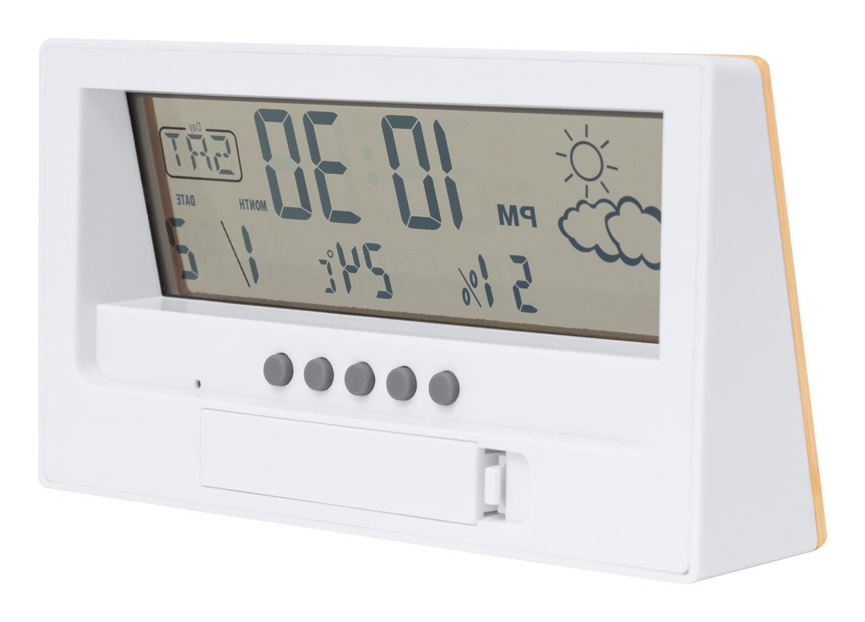 Roamer weather station