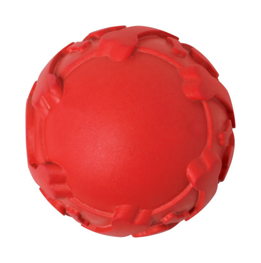 Bigel dog ball