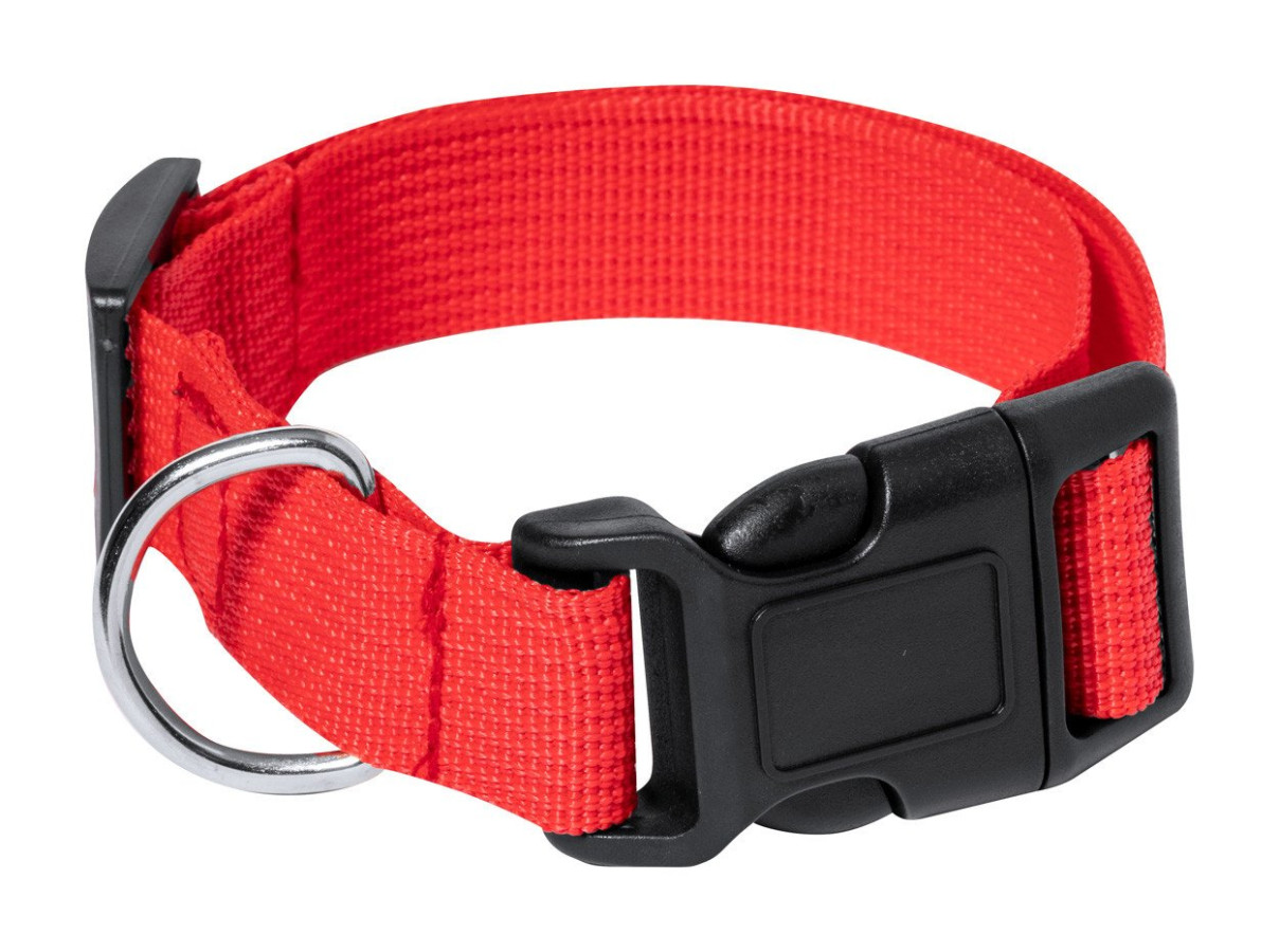 Mastif pet collar