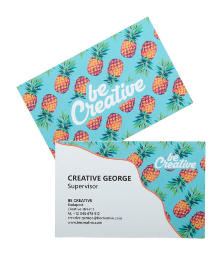 Visicard custom business cards