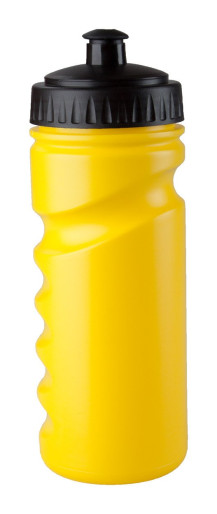 Iskan sport bottle