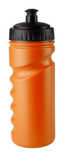 Iskan sport bottle