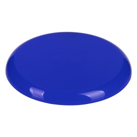 JOY, frisbee, blue
