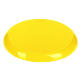 JOY, frisbee, yellow